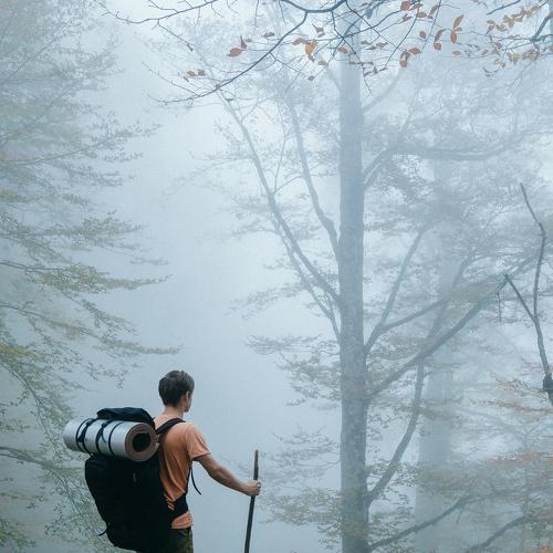 Photo #4709294