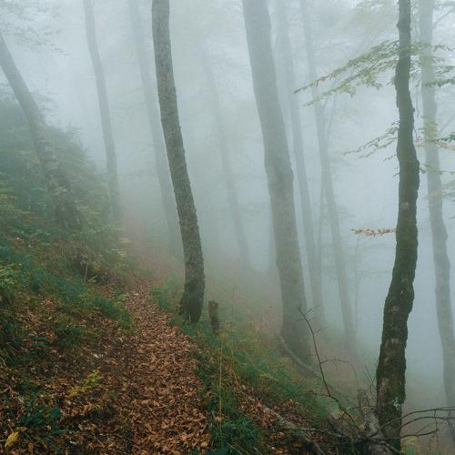Photo #4709295