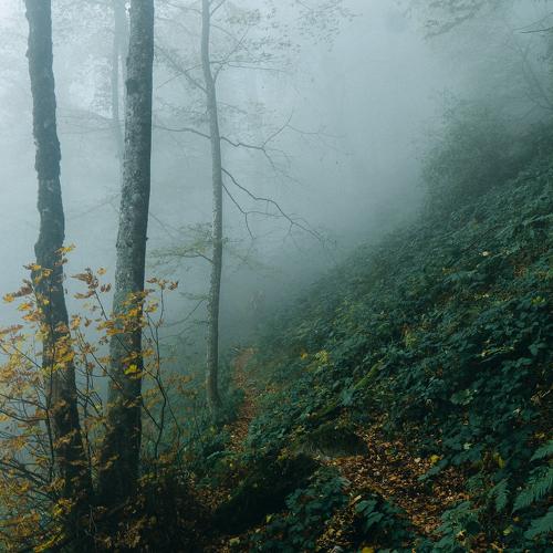 Photo #4709296