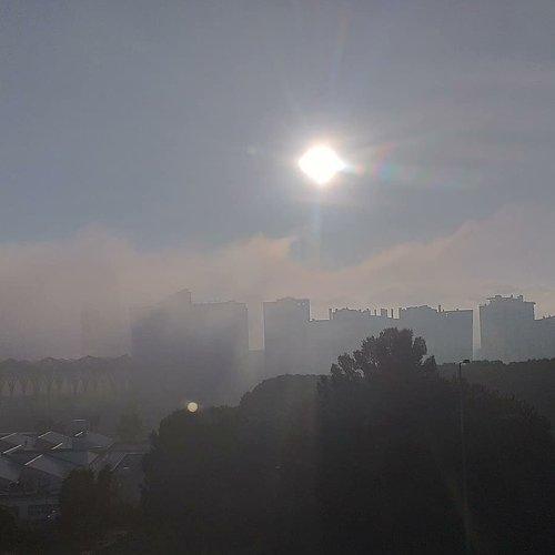 Photo #4709362