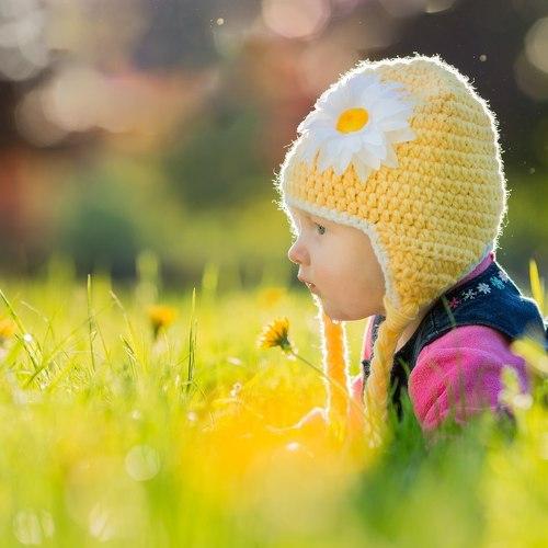 Photo #4709373