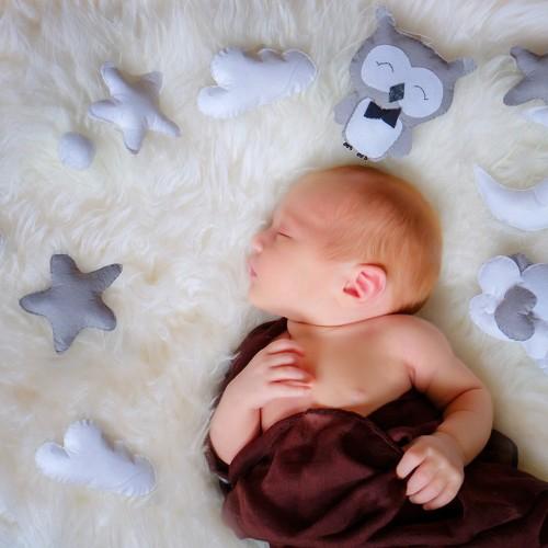 Photo #4709376