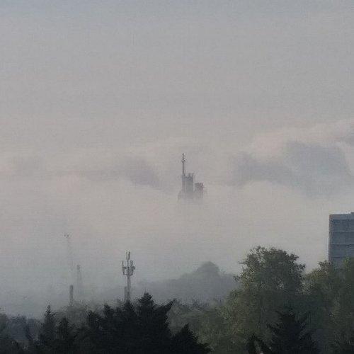 Photo #4709411