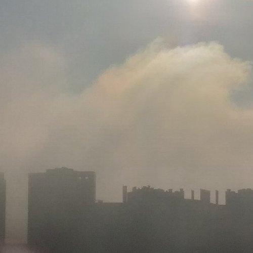 Photo #4709445