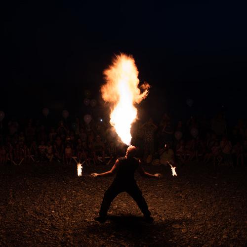 Photo #4709523