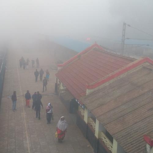 Photo #4709598