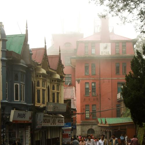 Photo #4709850