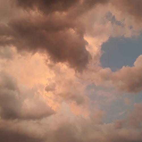 Photo #4709945