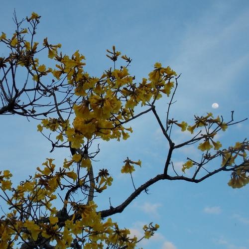 Photo #4709981