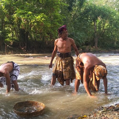 Photo #4710239