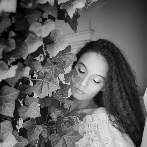 Photo #4710543