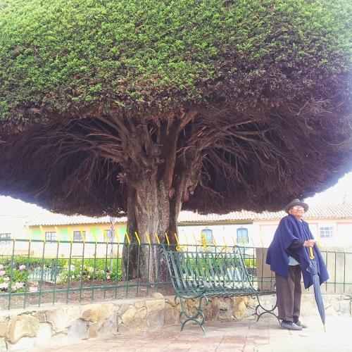 Photo #4710820