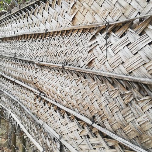 Photo #4710821