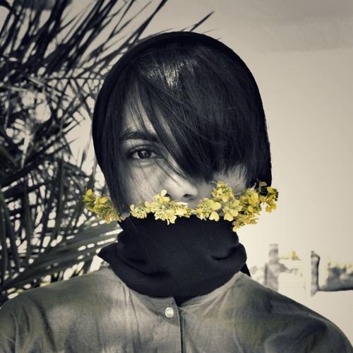 Photo #4710998