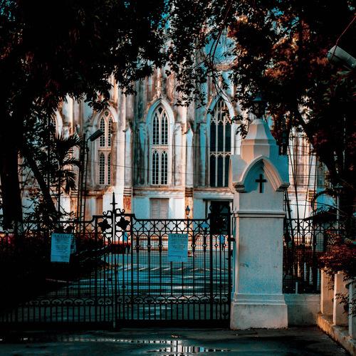 Photo #4711071