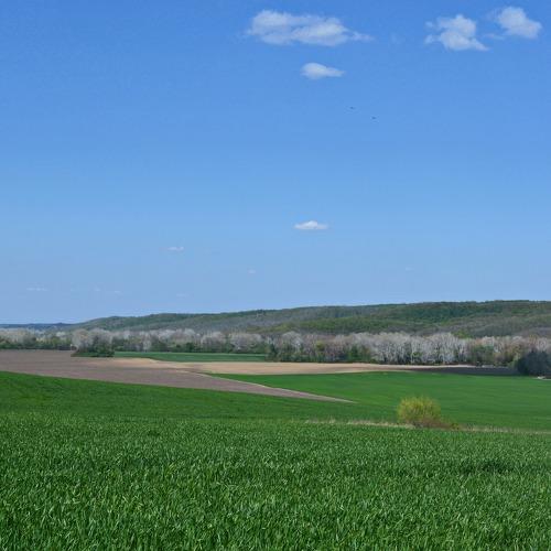 Photo #4711273