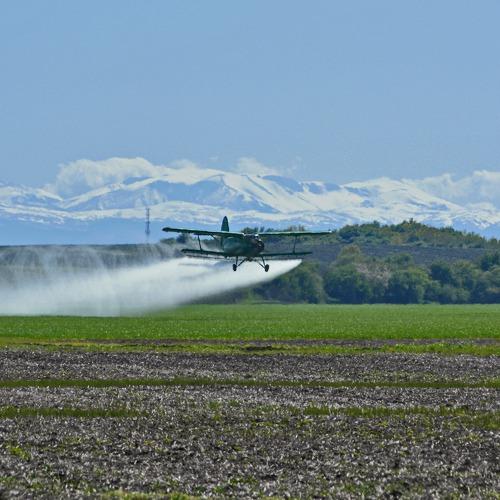 Photo #4711294