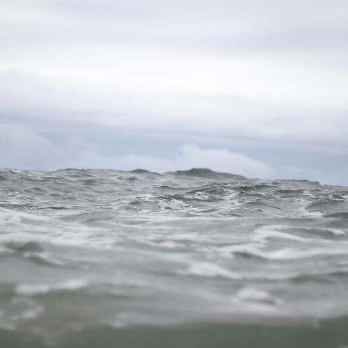 Photo #4711404