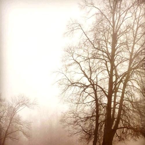 Photo #4711469