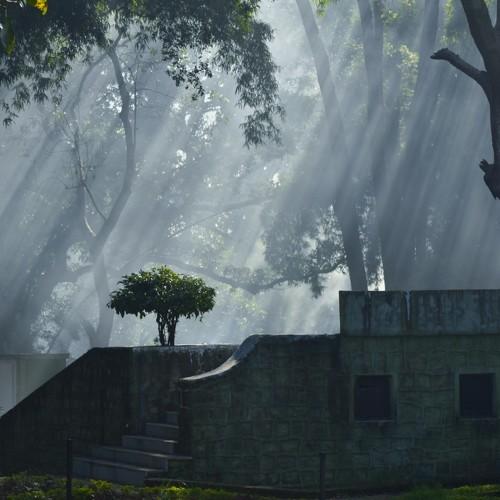 Into the myst