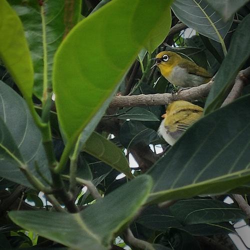 Photo #4712021