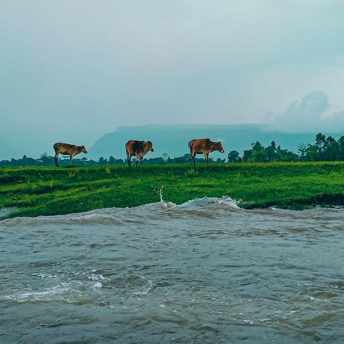 Nature is the art of god