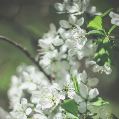 Photo #4712150