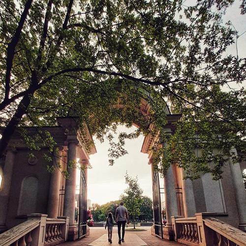 Photo #4712255