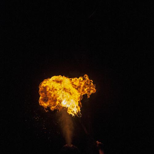 Photo #4712490