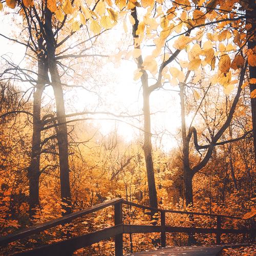 Photo #4712510