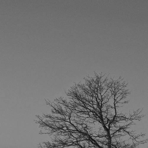 Photo #4712600
