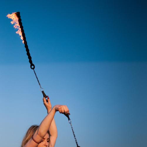 Photo #4712646