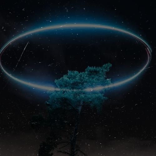 Night wish