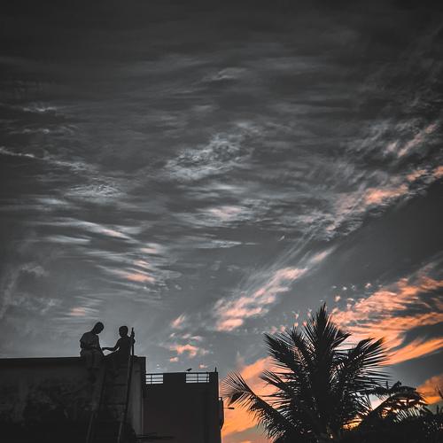 Photo #4712780