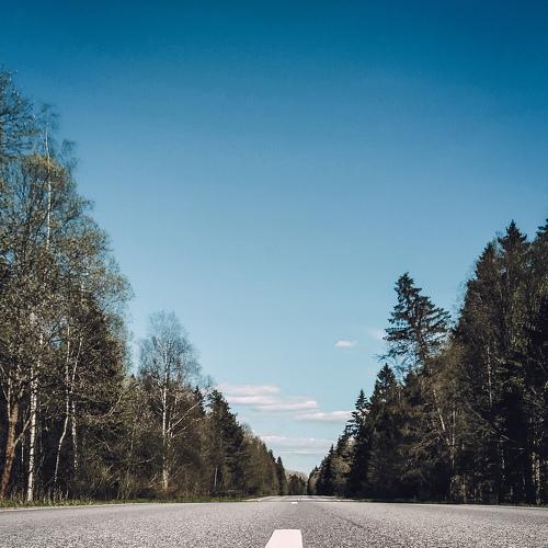 Photo #4713097