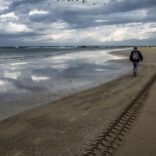 Photo #4713299