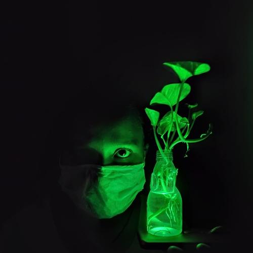 Use Mask...