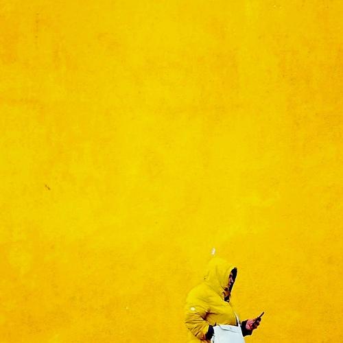 Photo #4713531