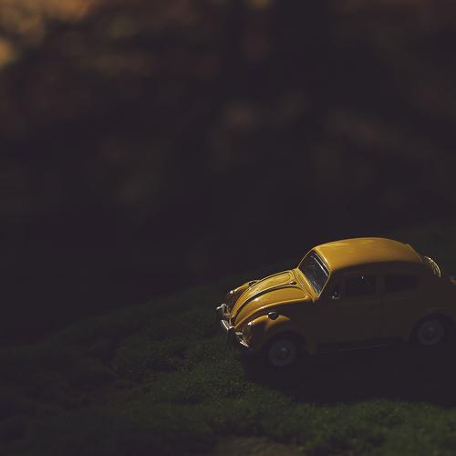 Photo #4713812