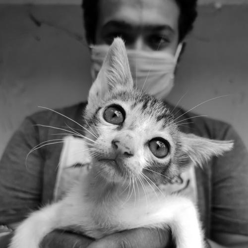 Quarantine days.