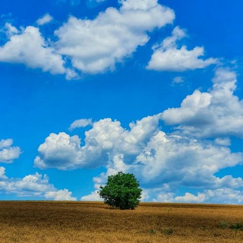 Photo #4714032