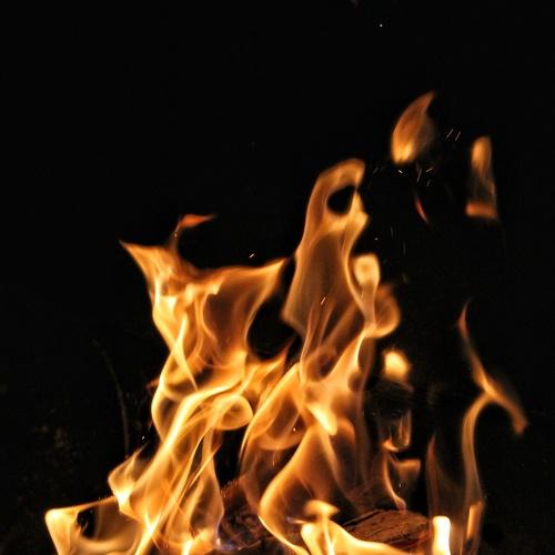Photo #4714162