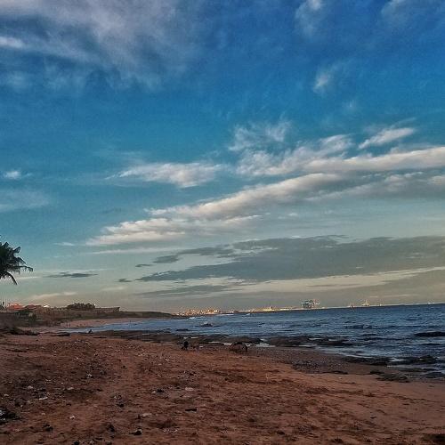 Photo #4714483