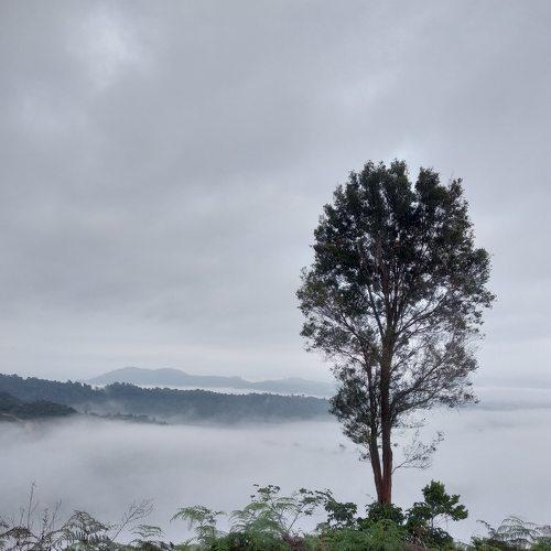 Standing alone
