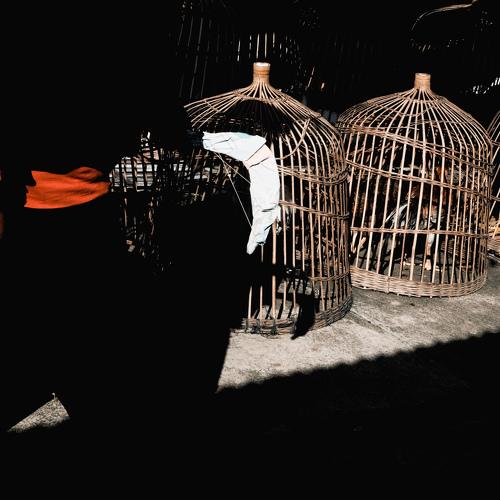 Photo #4714591
