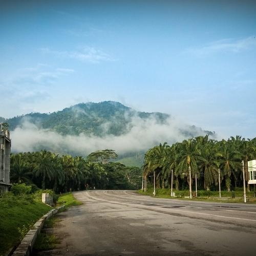 Photo #4714649