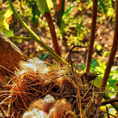 Photo #4714706