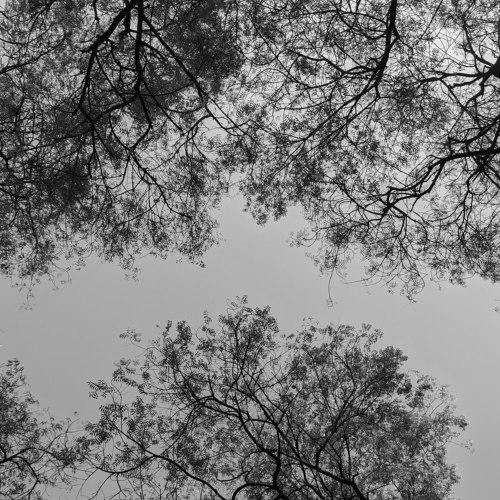 Abstract photography