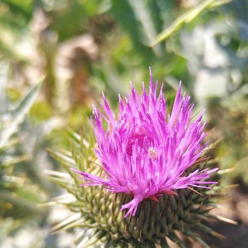 Photo #4714970
