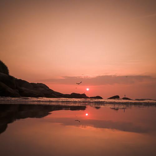 Magical Sunset